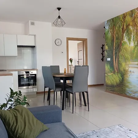 Wczasy Oliwkowy Apartment *